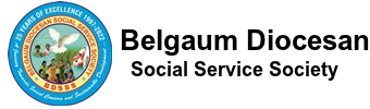 BDSSS logo